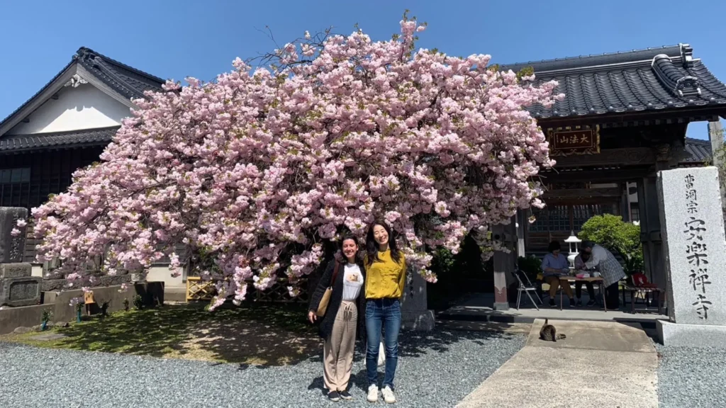 Primavera Giappone
